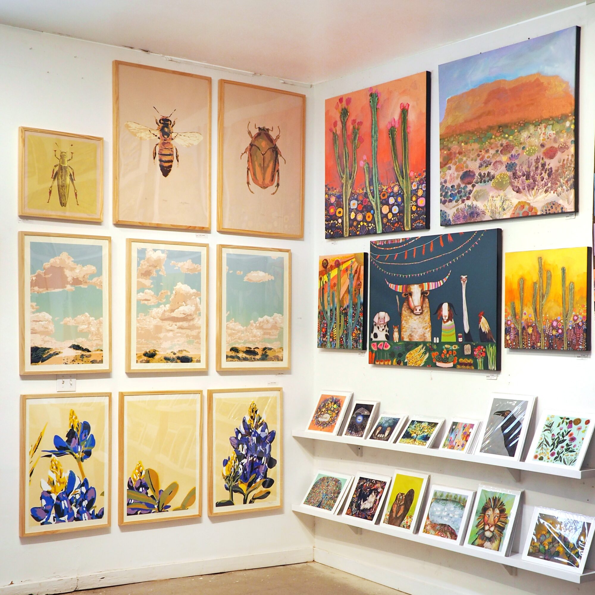 Gallery corner with colorful framed paintings, insect illustrations, and prints arranged on white walls and shelves.